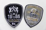 TS Dragon Custom Embroidered Patches Cotton Fabric for Soccer Suit