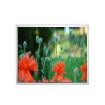 17.0 inch 1280*1024 DV170E0M-N12-KW LCD Screen Panel For BOE