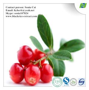 China Hongkong Imported Cranberry extract factory