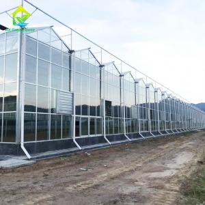 China OEM ODM Safety 5mm Tempered Glass For Greenhouse Wall Covering on sale