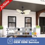 Decorative 5 Palm Leaf Ceiling Fan without Light with Silent Motor and Remote