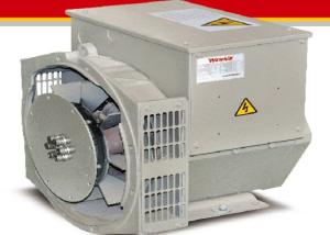 China 100% Copper Wire Standard Three Phase AC Generator 8.2kw 1500rpm IP23 factory