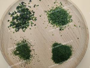 China Crispy Umami Ulva Ao Nori Dried Green Seaweed 10kg Bag With HACCP Certification factory