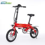 E6-4 2 Wheel Electric Bike 36V 250W Brushless Motor Lithium Battery Aluminum