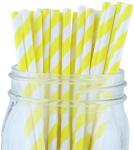 FDA Disposable Paper Straws