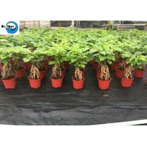 Garden Use Woven Weed Mat Plant Nursery Ground Cover Weed Control Mat PP