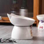 Dishwasher Safe Ceramic Pet Water Bowl , Easy To Clean Microwave Safe Travel Dog