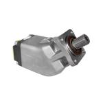 Rexroth A4FO A4FO16 A4FO22 A4FO28 A4FO40 A4FO71 A4FO125 A4FO250 A4FO500 Oil Pump