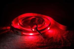 China Super Bright Illuminated Dog Leash Runs Over 7 Hours For Dogs Walking Training factory