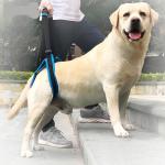 Auxiliary Belt Leg Support Pet Harness Leash For Disability Injury High Aged Dog