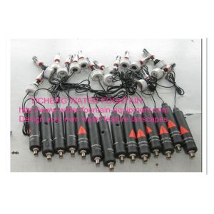 Automatic Dosing Swimming Pool Remote Control Systems Controller Filter Light