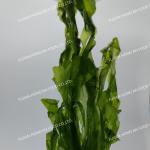 Authentic Umami Nori Green Seaweed Flakes For Gourmet Japanese Cuisine Baked