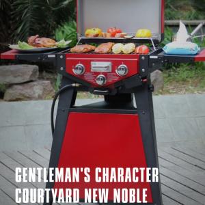 China Thunderbird Portable Gas Grill For Outdoor Cooking And Grilling factory