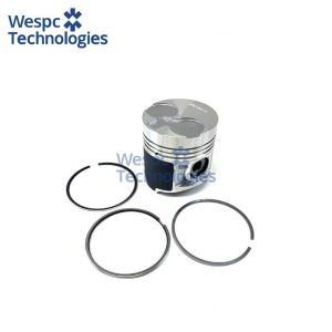 WESPC 115017491B Piston Kit for Perkins 404C-22 404D-22 404D-22T Diesel Engines