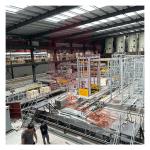 Worldwide Brick Making Project Design Demonstration Complete Production Line