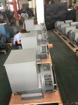 100KVA AC Brushless Synchronous Alternator Generator in China with Best Quality