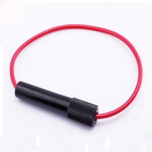 China 5AG 10x38mm glass ceramic tube fuse holder in loop factory
