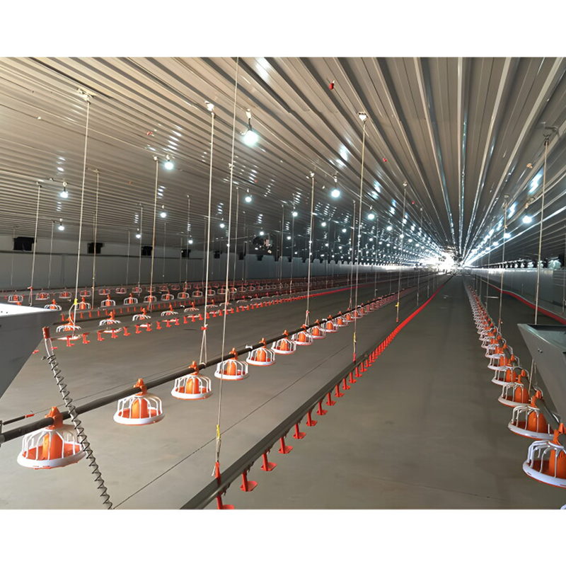 Prefabricated Farm Building Layer Broiler Chicken House