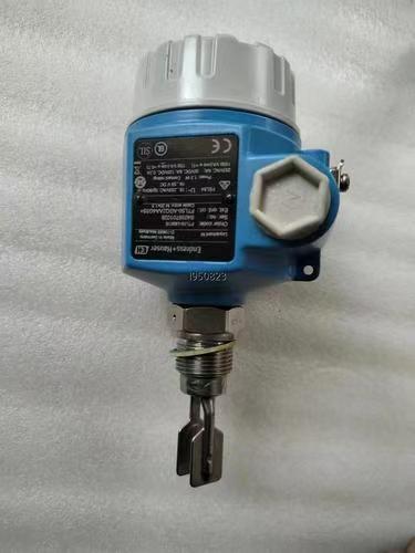 China Endress+Hauser FTL50 Vibronic Level Transmitter with HART Protocol factory