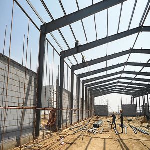 Durable Steel Structure Poultry House for Livestock Farming