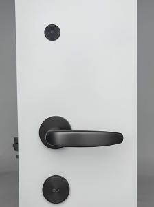 China Smart Door Lock keyless front door lock hotel lock factory