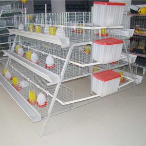 China A Type 198 Birds Layer Chicken Cage Poultry Farming Equipment factory