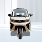 3 Wheels Gas/Petrol Fuel Adult 250CC Cargo Tricycle Open Body Type with