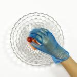 Disposable Vinyl Exam Gloves Wholesale Powder Free Vinyl Gloves for Food Service