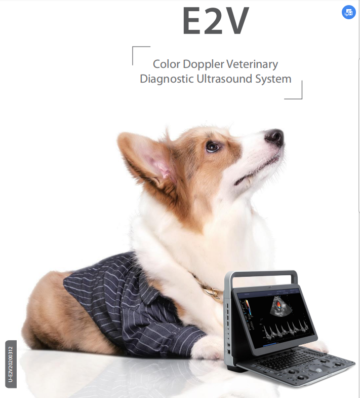 E2V Veterinary Ultrasound Doppler Color Sonoscape E2