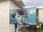 55inch IP66 waterproof sun direct high brightness full outdoor tv wall