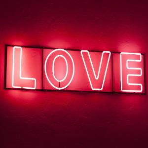 China 8-10mm Dia Tube Light Up Neon Letters Wedding Love Highspan factory