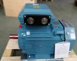 ABB Motor 3GBP Series 3GJP181410-A_H Professional IP55 3 Phase Electric Motors
