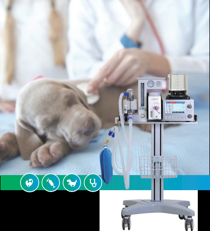 DM6B Veterinary Anesthesia Ventilator System AC 100-240V 7 Inch Color LCD Display