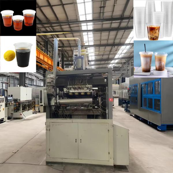 High Speed Disposable Thermoforming Cup Making Machine Cake Coffee PP PS Pet