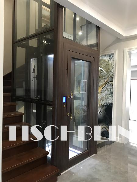 Germany Technique Gearless Compact Design 300kg-450kg Home Villa Elevator 304