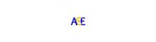 China Nantong Ace Welding Co., Ltd. logo
