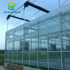 Commercial Multispan Large Venlo Glass Greenhouse Hot Galvanized Steel Frame