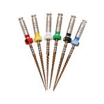 Endodontic Rotary Systems Dentsply Endo Files Root Canal Treatment