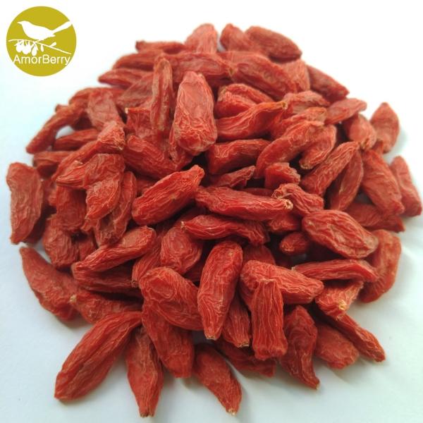 Amorberry China NingXia dried Goji berry Chinese Organic Sweet taste and Dried