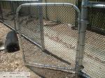 chain link/cyclone mesh fence manufacturer