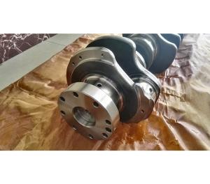 China Forging Steel Or Cast Iron 4D130 Diesel Engine Crankshaft 6110-33-1112 factory