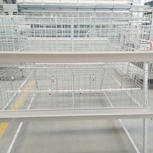 China Stable Performance Broiler Chicken Cage Easy To Clean 20 - 25 Years Warranty factory