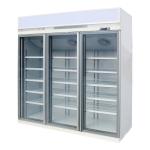 Ebm Fan Motor Glass Door Display Cooler R290 For Beverages