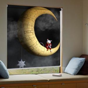 China 100% Polyester 3D Printed Roller Blinds Horizontal Eco Solvent Printing 280g/M2 factory