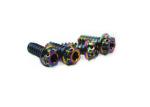 Ti Bolts Tapping Screw M5 M6 Titanium Bolts Multiple Hexagon Flange Head Screw