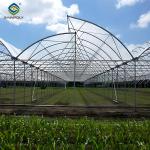 Customization Commercial Gothic Type Greenhouse With Electric Systems