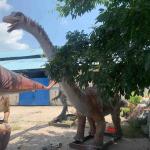 Lifelike Animatronic Dinosaur Amusement Park Diplodocus Model
