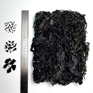 China Elevate Your Cooking with Organic Wakame: Tender Leaves, Deep Green Hue, Endless Culinary Uses factory