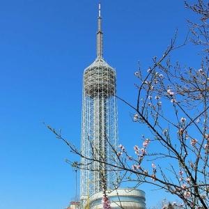 China Antenna Steel Cdma Mobile Telecom Tower With Revolving Restaurant Platform factory