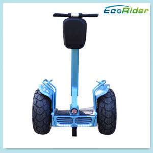 China 2000 Watt Segway 2 Wheel Electric Scooter / Two Wheel Stand Up Electric Scooter factory
